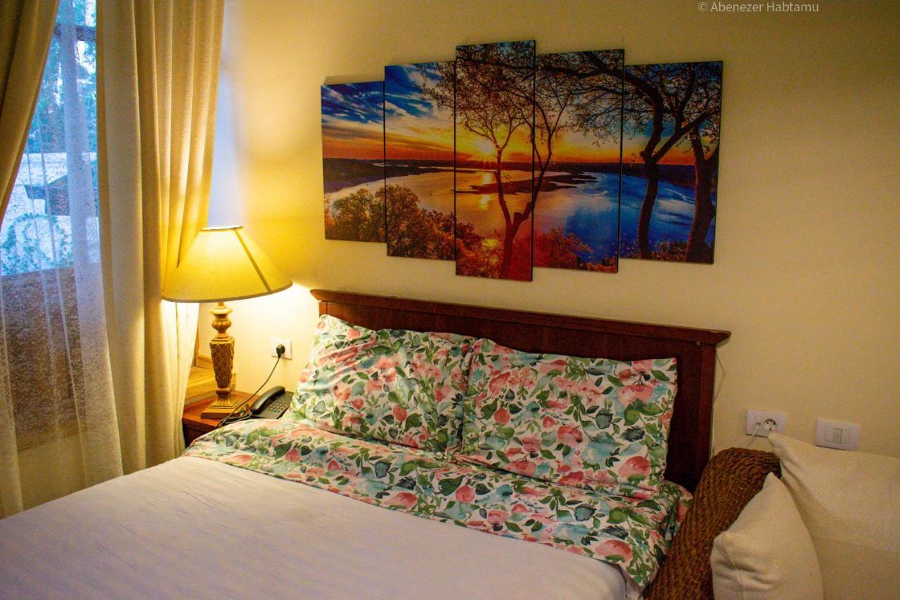 Choice Guest House 2 Adis Abeba Exterior foto