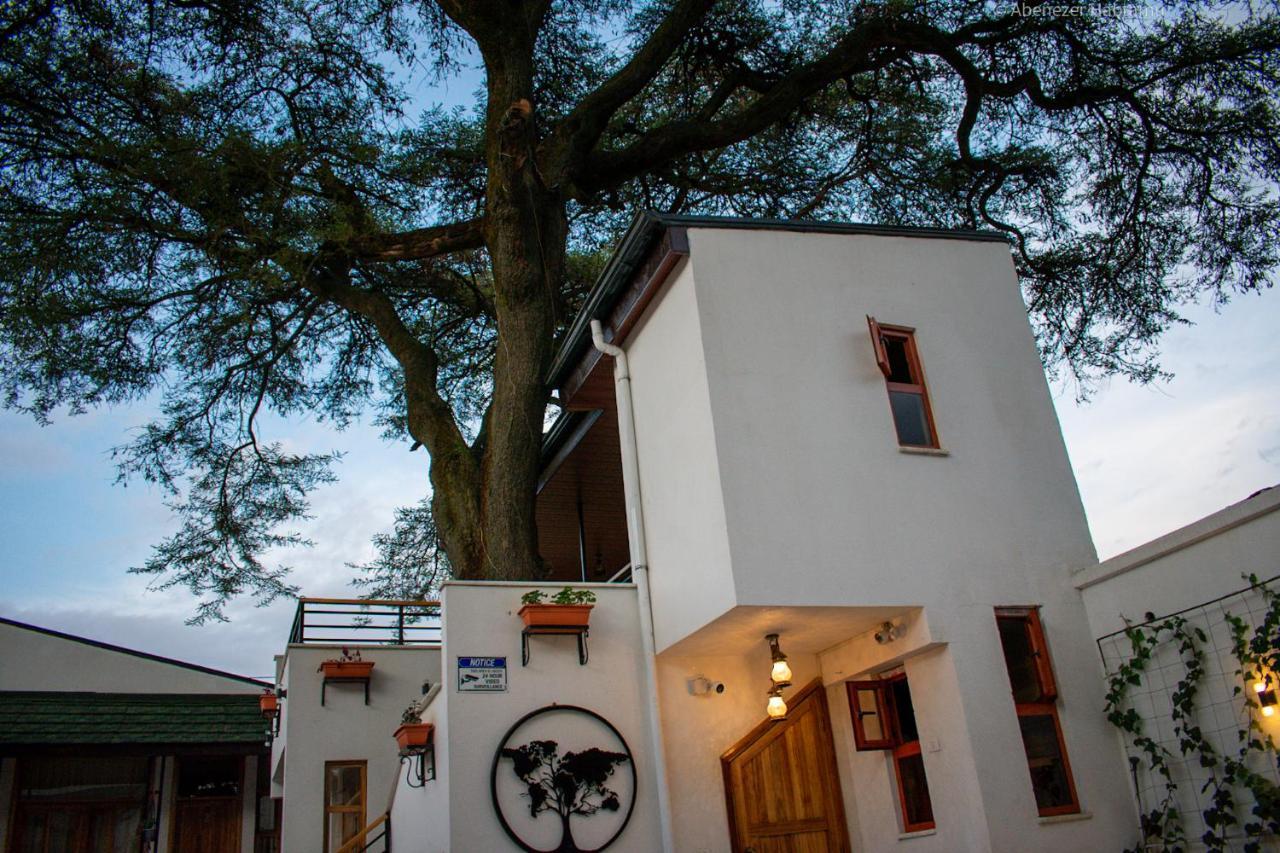 Choice Guest House 2 Adis Abeba Exterior foto